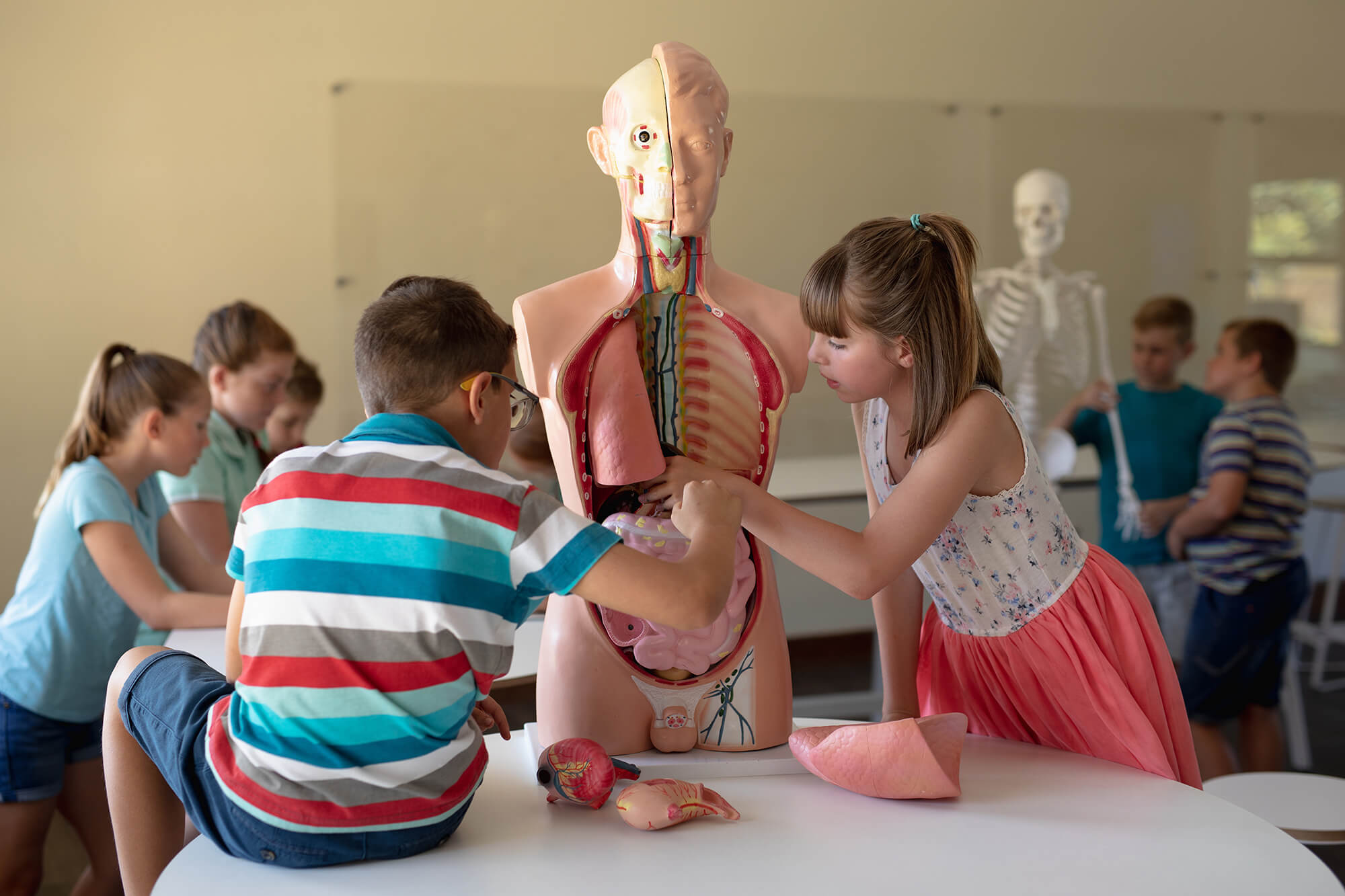 Biologia e biomeccanica